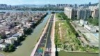 双向四车道 珠海斗门东湖北路断头路竣工通车