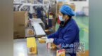 全国率先破题 江西药品流通监管迈入智能化时代