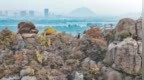 济南：秋日鹊山，拾级登高赏秋