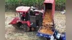 山东：多措并举保障秋粮收获