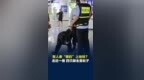 有人牵“黑豹”上地铁？走近一看，四只脚全是轮子，网友：求链接！济南地铁回应