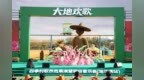 稻浪放歌振兴曲 大地欢歌满龙江“大地欢歌·幸福满龙江”全省“四季村歌”示范展演暨稻田音乐会圆满举办
