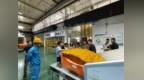 “红链领航・入企学技”——铜陵郊区经开区走进安徽海螺环境科技有限公司