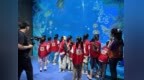 红谷融媒小记者团走进融创海世界 开启海洋科普研学之旅