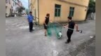 遛犬不牵绳、不清理粪便？贵溪：严查！