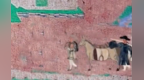 敦煌画师笔下"月球小区"长啥样　古人过中秋很炫"窟"