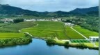 「稻田躺平大会」来啦！日照玉峰谷「生态艺境」国庆限定慢闪计划启幕