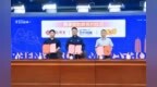 从借势曝光到理念共鸣，仰韶携手2026郑马，在体育营销里挖增量