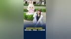 金牌选手的王者荣耀技术也很好