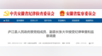 庐江县人民政府原党组成员、副县长张大华被查