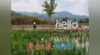 乡村游旺起来，泉城秋日有新景