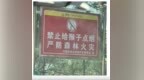 安徽一自然保护区立牌警示：禁止给猴子点烟