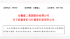 安徽建工：董事长杨善斌辞职 选举龚健勇为副董事长并代行职责