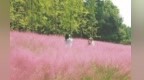 中秋、国庆假期期间 南昌县（小蓝经开区）推出28项文旅惠民活动