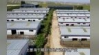 【甘快看】甘肃靖远：东西部协作助力肉羊产业铺就致富路