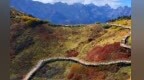 【甘快看】兰州官鹅沟里秋意浓