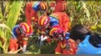 阜阳84岁老人掉入6米深井，30岁孙女下井营救，结果双双被困