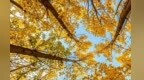 【甘快看】甘肃白银区：一城秋韵　满目山河