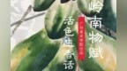 岭南物赋｜活色生香话木瓜