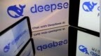 太卷了！DeepSeek假期更新，Harness有了新版本