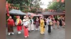 接待访客近5000人次！海南热带雨林国家公园鹦哥嘴自然生态体验区火热出圈