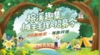 20席限定！在600年夫妻榕下开摊，榕溪趣集招募主理人
