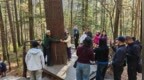 伊春市友好区：上甘岭溪水国家森林公园秋日美景引客来
