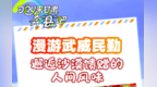 “食”力派甘肃邀你漫游　这些宝藏“趣”处了解下