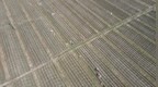 遂川县：大棚农事忙 乡村产业兴（图）