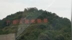 “广西欢迎您”标语被树木遮挡，梧州文旅听劝火速剪枝