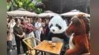 当国宝遇上国宝！“国宝唤醒计划·入画山西”文化巡展成都站亮点纷呈
