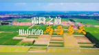 霜降之前，一根山药的两百多天