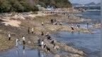 国庆假期烟台海滨“赶海热”，市民游客乐享“海洋宝藏”