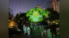 AI让一棵120岁的朴树开口说话，上海这座城市多了位"时光讲述者"