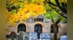 海岱之间，何以青州？