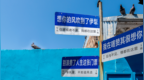 这个国庆，年轻人受够了“审美完蛋”的景区