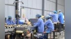 甘肃永昌“链”就特色产业　致富果增收粮远销全国