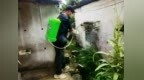 跨区域联防联控 中珠开展统一灭蚊行动