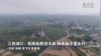 江西湖口：稻熟蛙肥迎丰收 种养融合富乡村