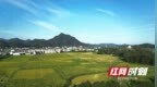 把天安门“搬”进村委大院！桃江县修山镇公益拍照圆老人家国心愿