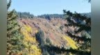 金秋焉支山　层林尽染入画来