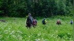 “学艺式旅行”走热，美团：国庆假期“泥塑陶艺课程”搜索上涨84%