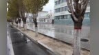 甘肃阿克塞给树干涂白防虫防病　守护绿色生态