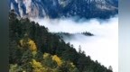 甘肃陇南官鹅沟换上斑斓秋装　快赴一场山野之约