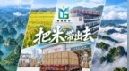 把米带出去，把家留下来 ——粤桂协作助力上林大米走出广西