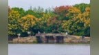 江北这个网红村美翻了！金粉霞海、一步一景......出片率超高→