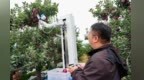 机器人采摘比人工快一倍　果园装上数字大脑“牛”得嘞