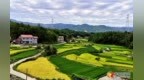 兴国县公开征集城市管理领域涉黑涉恶违法线索