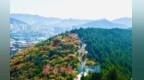 一山两季！泉城蝎子山秋色渐浓
