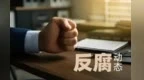 甘肃金昌市自然资源局原局长移送检察机关　违规经商